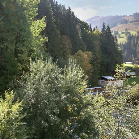 Apartment In Salzburgerland Near The Ski Area 菲霍芬 外观 照片