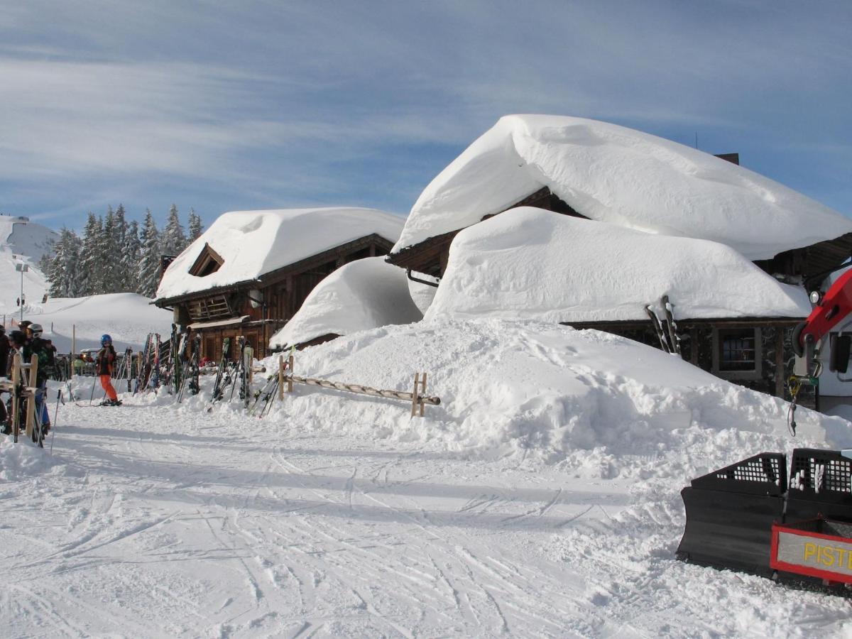 Apartment In Salzburgerland Near The Ski Area 菲霍芬 外观 照片