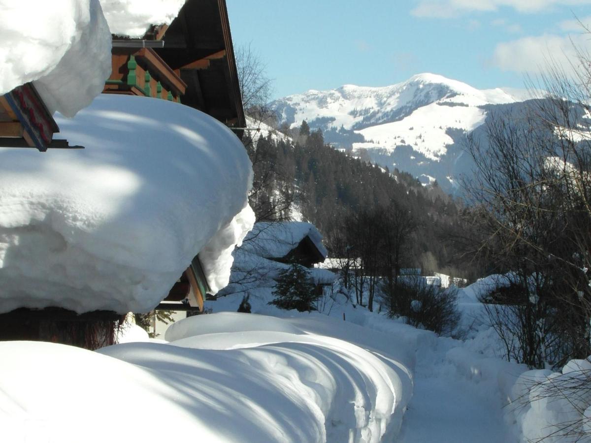 Apartment In Salzburgerland Near The Ski Area 菲霍芬 外观 照片