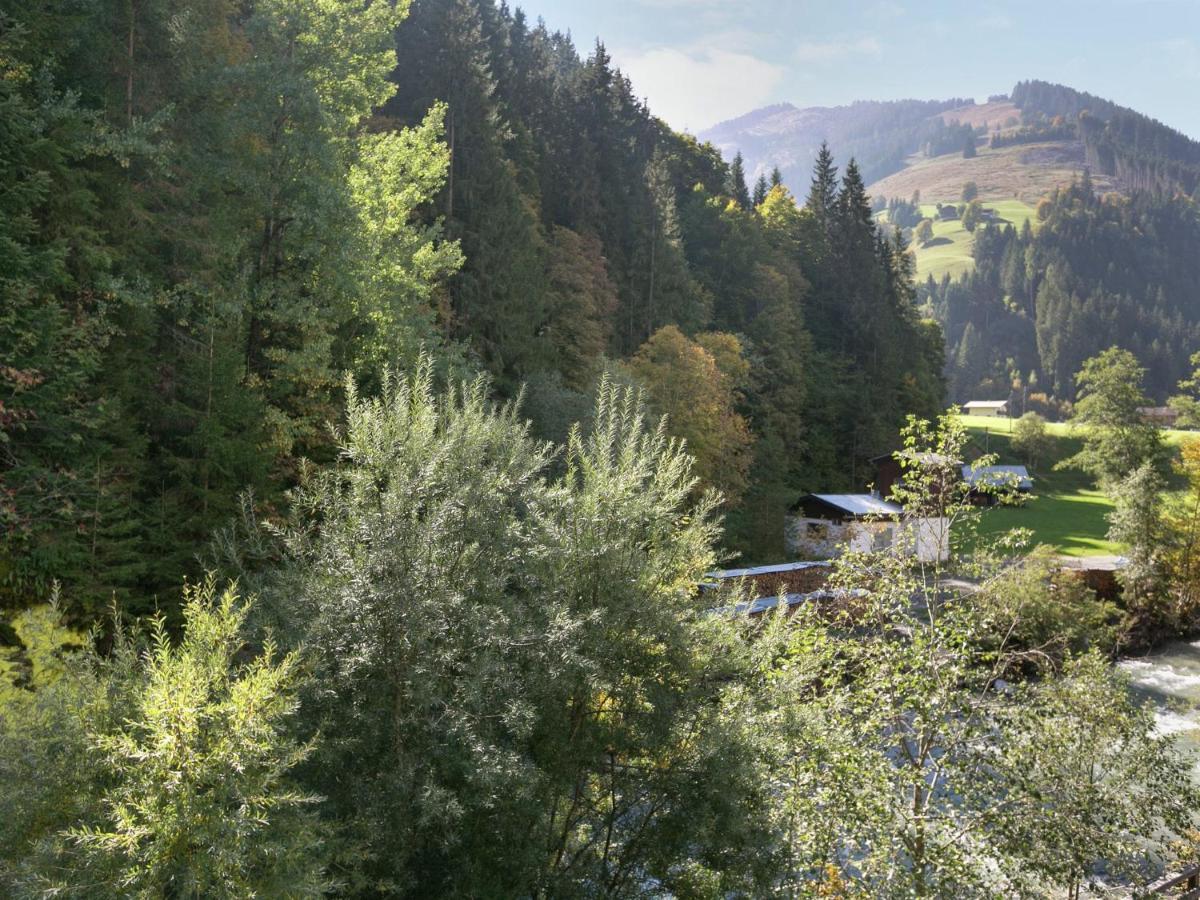 Apartment In Salzburgerland Near The Ski Area 菲霍芬 外观 照片