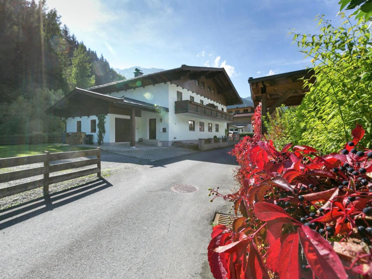 Apartment In Salzburgerland Near The Ski Area 菲霍芬 外观 照片