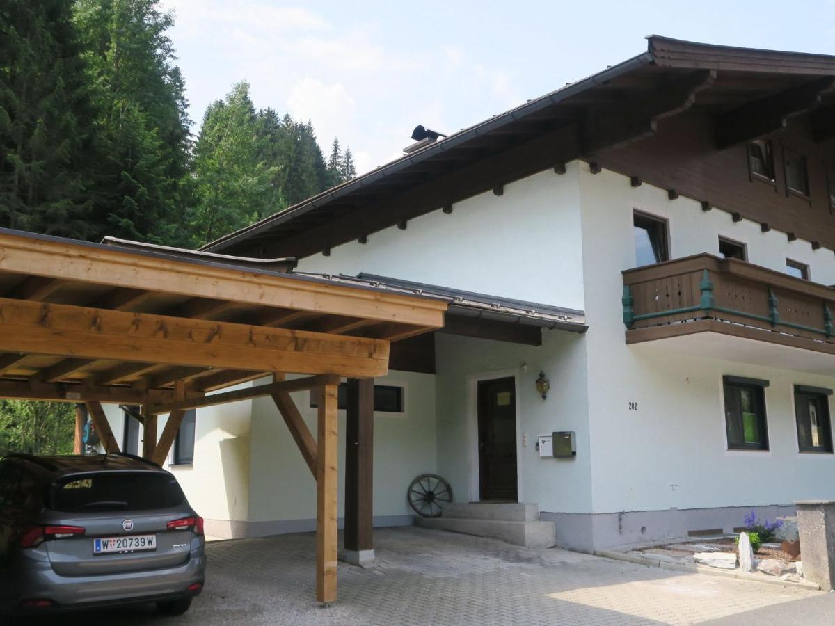 Apartment In Salzburgerland Near The Ski Area 菲霍芬 外观 照片