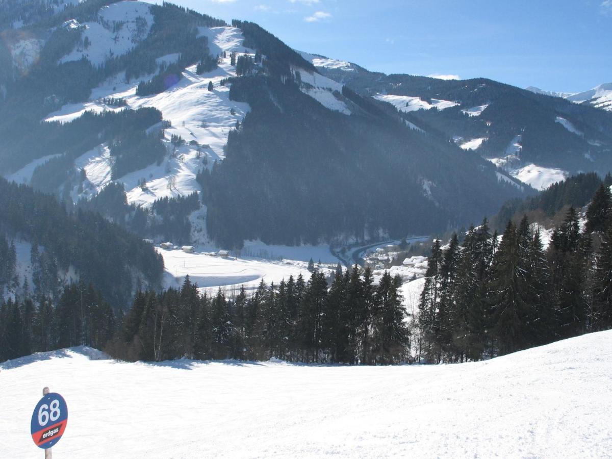 Apartment In Salzburgerland Near The Ski Area 菲霍芬 外观 照片