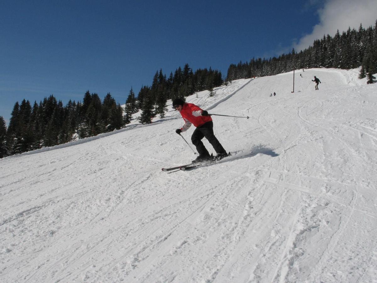 Apartment In Salzburgerland Near The Ski Area 菲霍芬 外观 照片